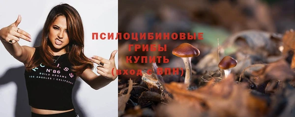 ГАЛЛЮЦИНОГЕННЫЕ ГРИБЫ Краснотурьинск