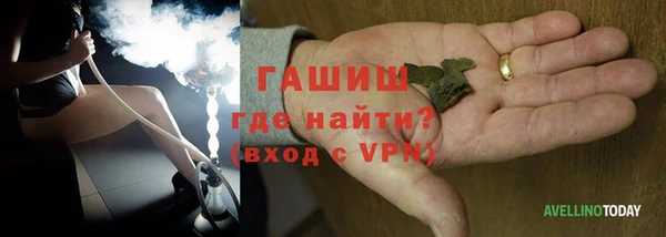 дмт Краснослободск