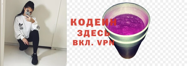 дмт Краснослободск
