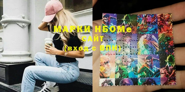 дмт Краснослободск