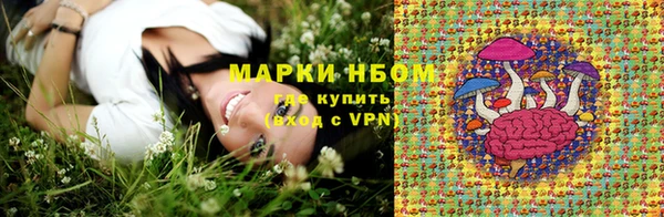 ГАЛЛЮЦИНОГЕННЫЕ ГРИБЫ Краснотурьинск