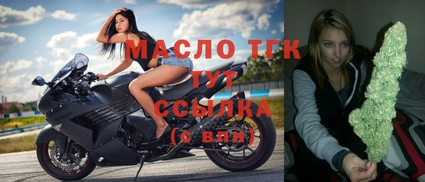 дмт Краснослободск
