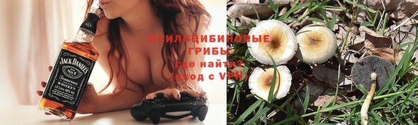 ГАЛЛЮЦИНОГЕННЫЕ ГРИБЫ Краснотурьинск