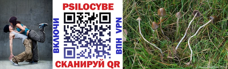 Галлюциногенные грибы MAGIC MUSHROOMS Лабытнанги