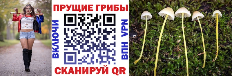 Купить закладки  Лабытнанги  Галлюциногенные грибы мицелий 